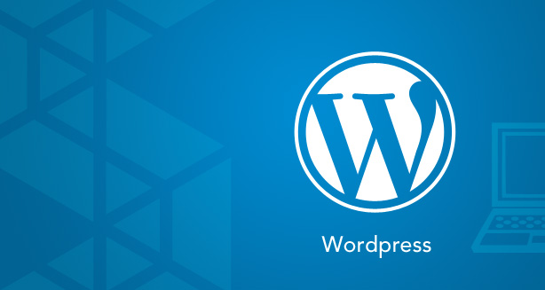 8 Benefits of using the WordPress Platform to build your website.